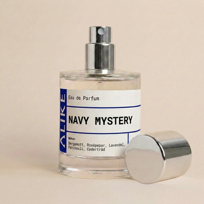 NAVY MYSTERY